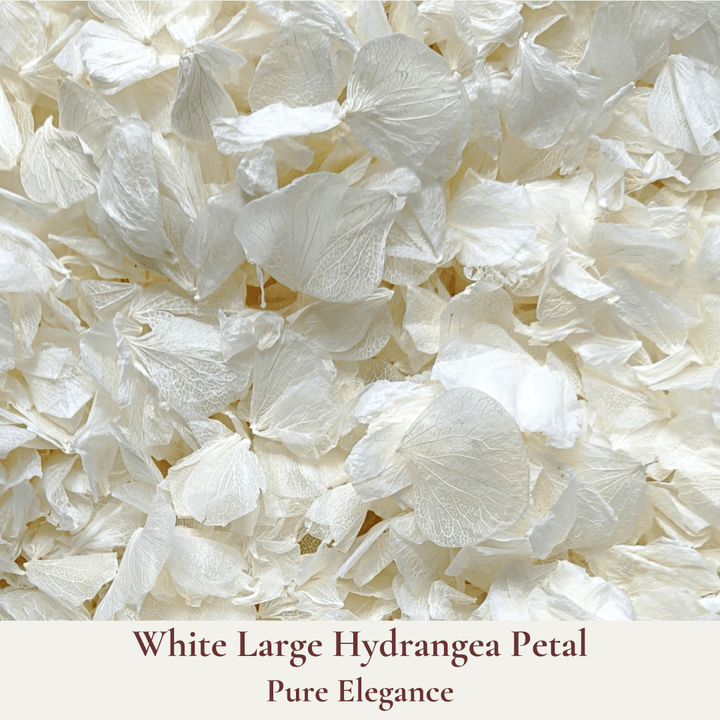 Biodegradable Confetti – Real Dried Flower Petal Wedding Confetti – Pure Elegance - Dried Flower Confetti - The Sprinkle Bar