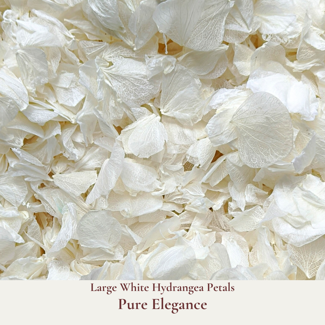 Biodegradable Wedding Confetti and Bags Bundle with Two Label Options