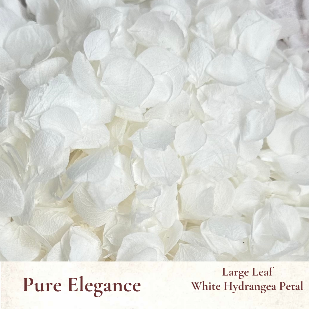 Dried Flowers Wedding Confetti – Pure Elegance - Flower Girl Basket Aisle Petals