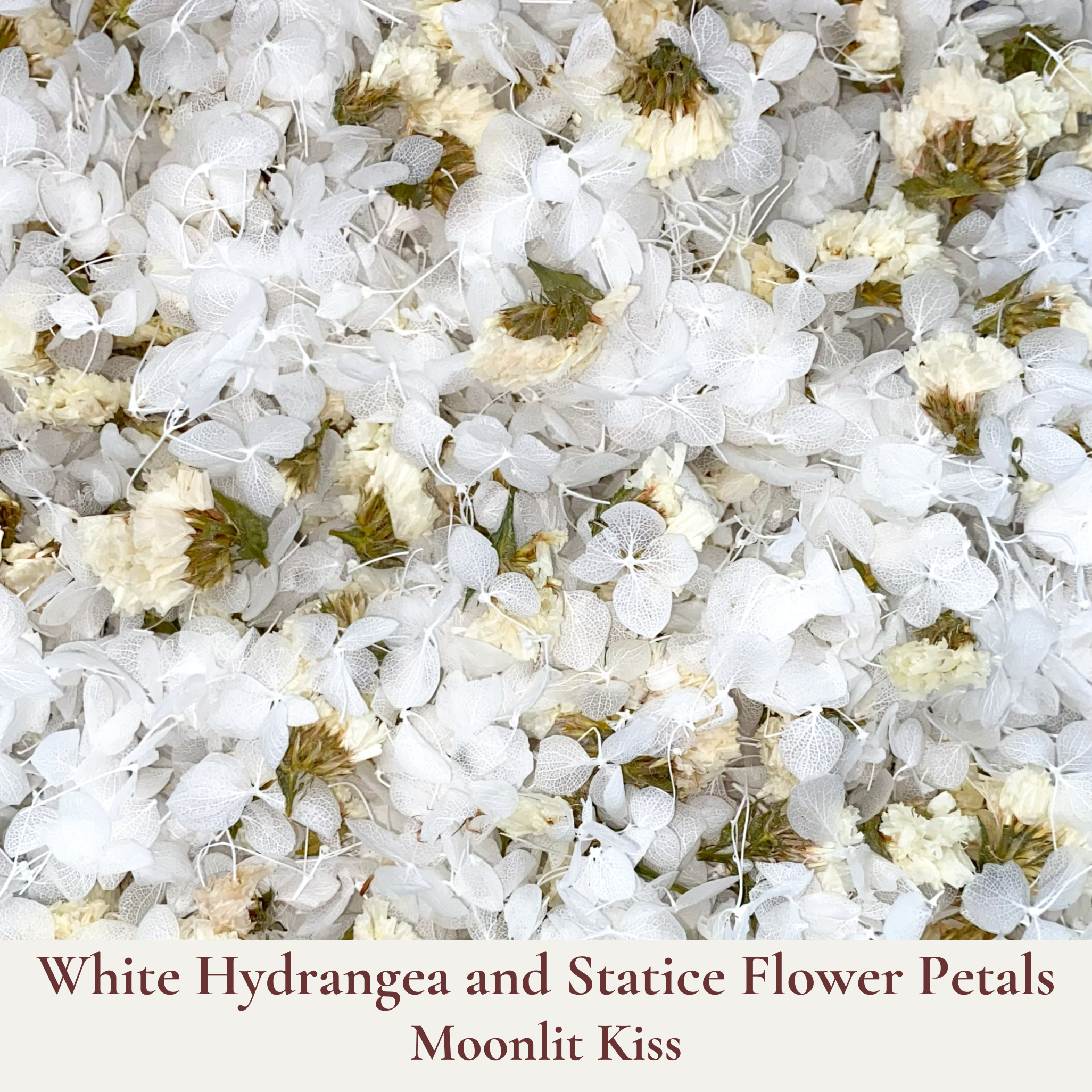Biodegradable Confetti – Real Dried Flower Petal Wedding Confetti - Moonlit Kiss - Dried Flower Confetti - The Sprinkle Bar