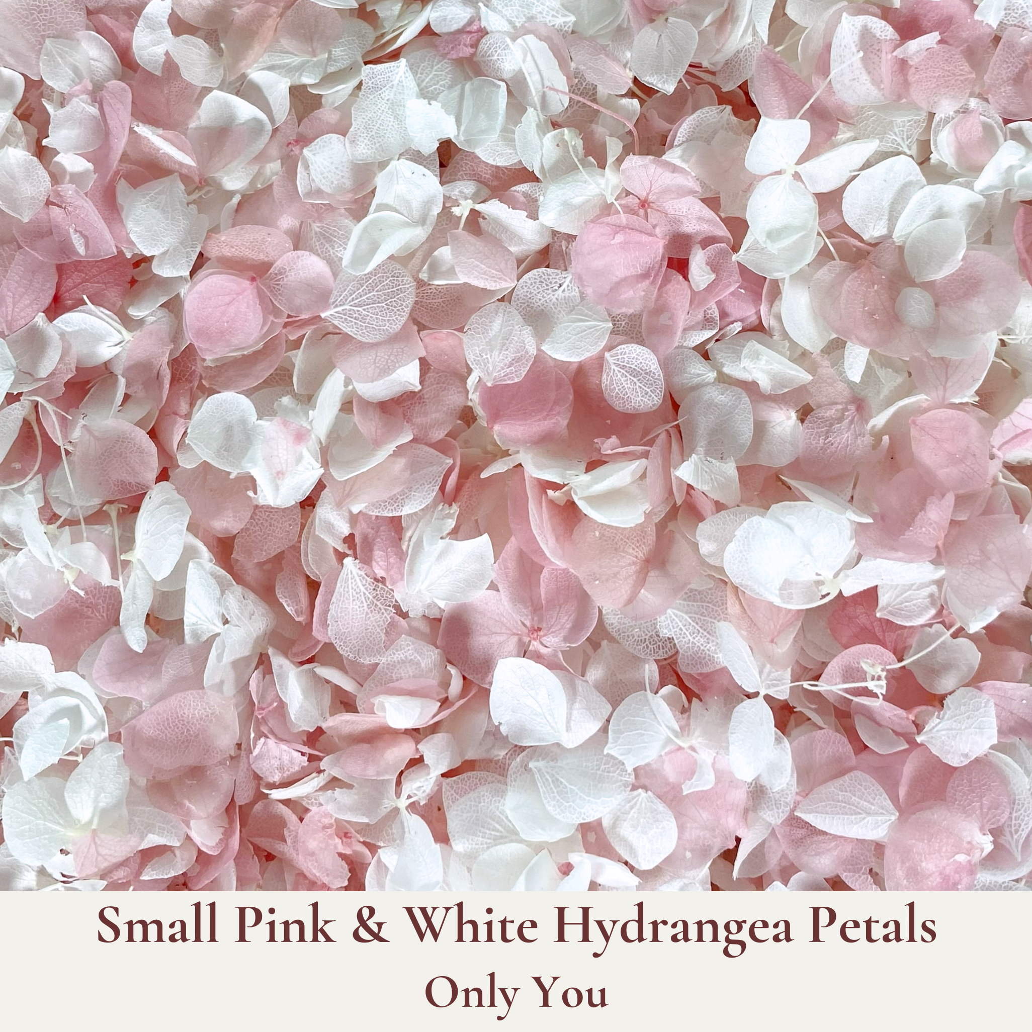 Biodegradable Wedding Confetti – Dried Flower Confetti - Only You - Dried Flower Confetti - The Sprinkle Bar