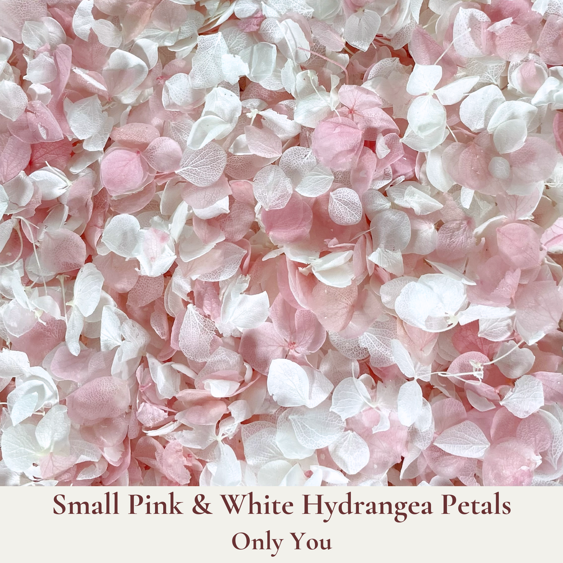 Biodegradable Wedding Confetti – Dried Flower Confetti - Only You - Dried Flower Confetti - The Sprinkle Bar