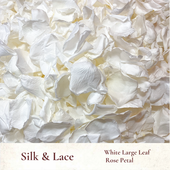 White Rose Petal Wedding Confetti - Silk and Lace - Wedding Aisle Flower Girl Petals