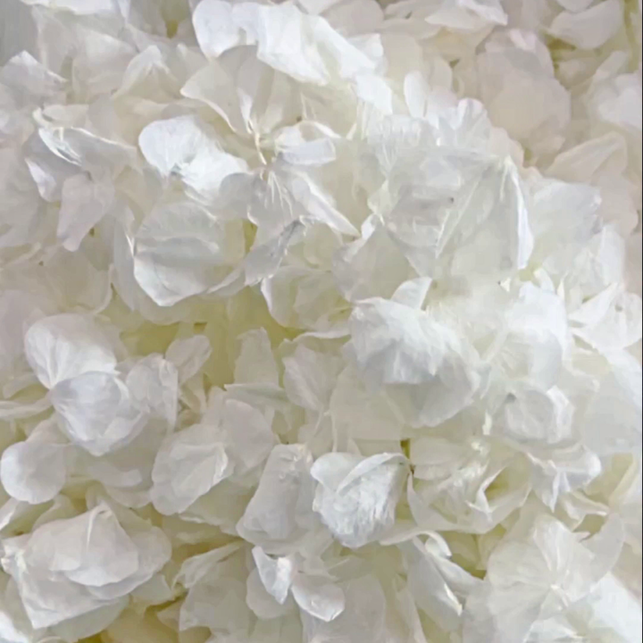 Dried Flowers Wedding Confetti – Pure Elegance - Flower Girl Basket Aisle Petals