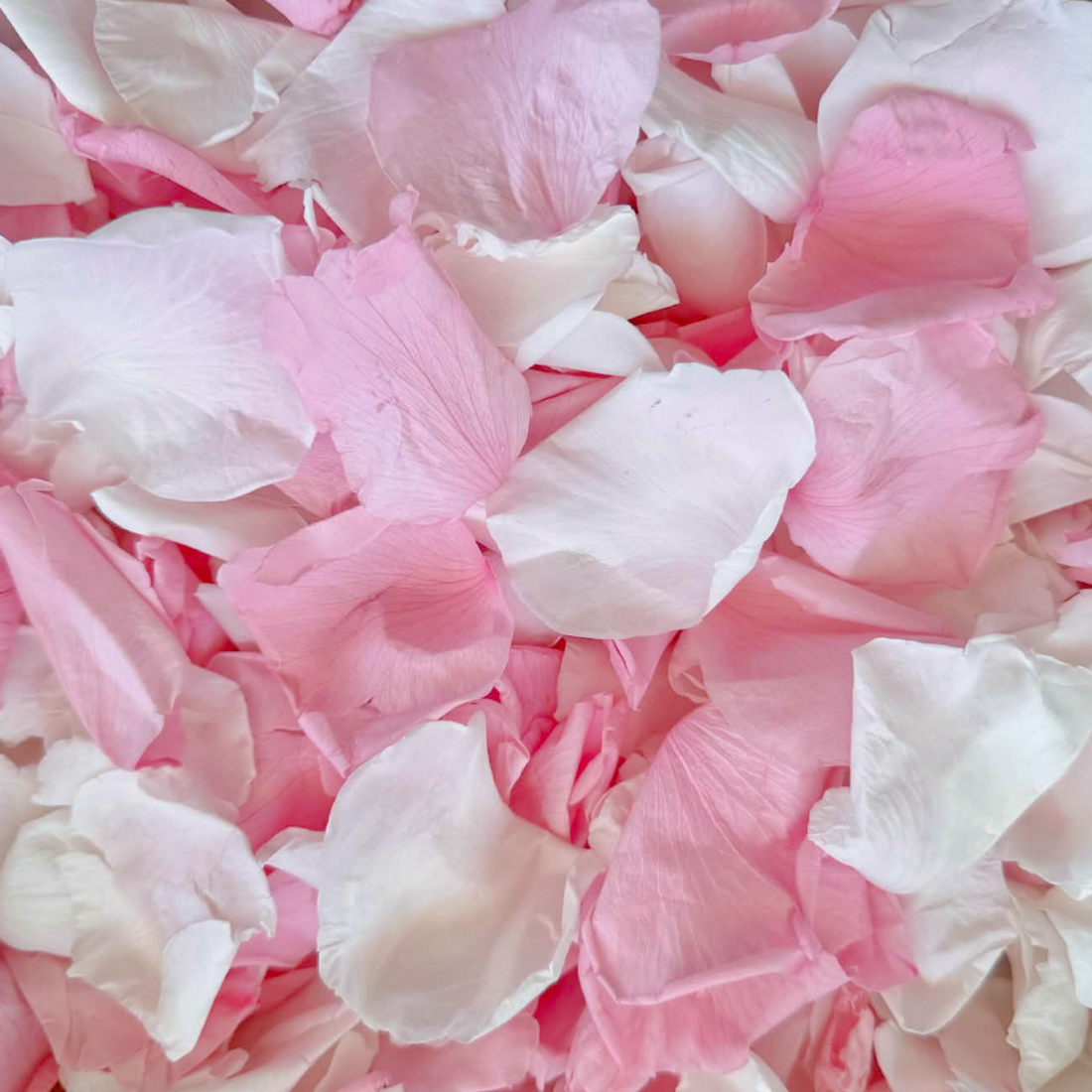 Biodegradable Wedding Confetti – Dried Flower Petal Confetti - Joyful Journey - Dried Flower Confetti - The Sprinkle Bar