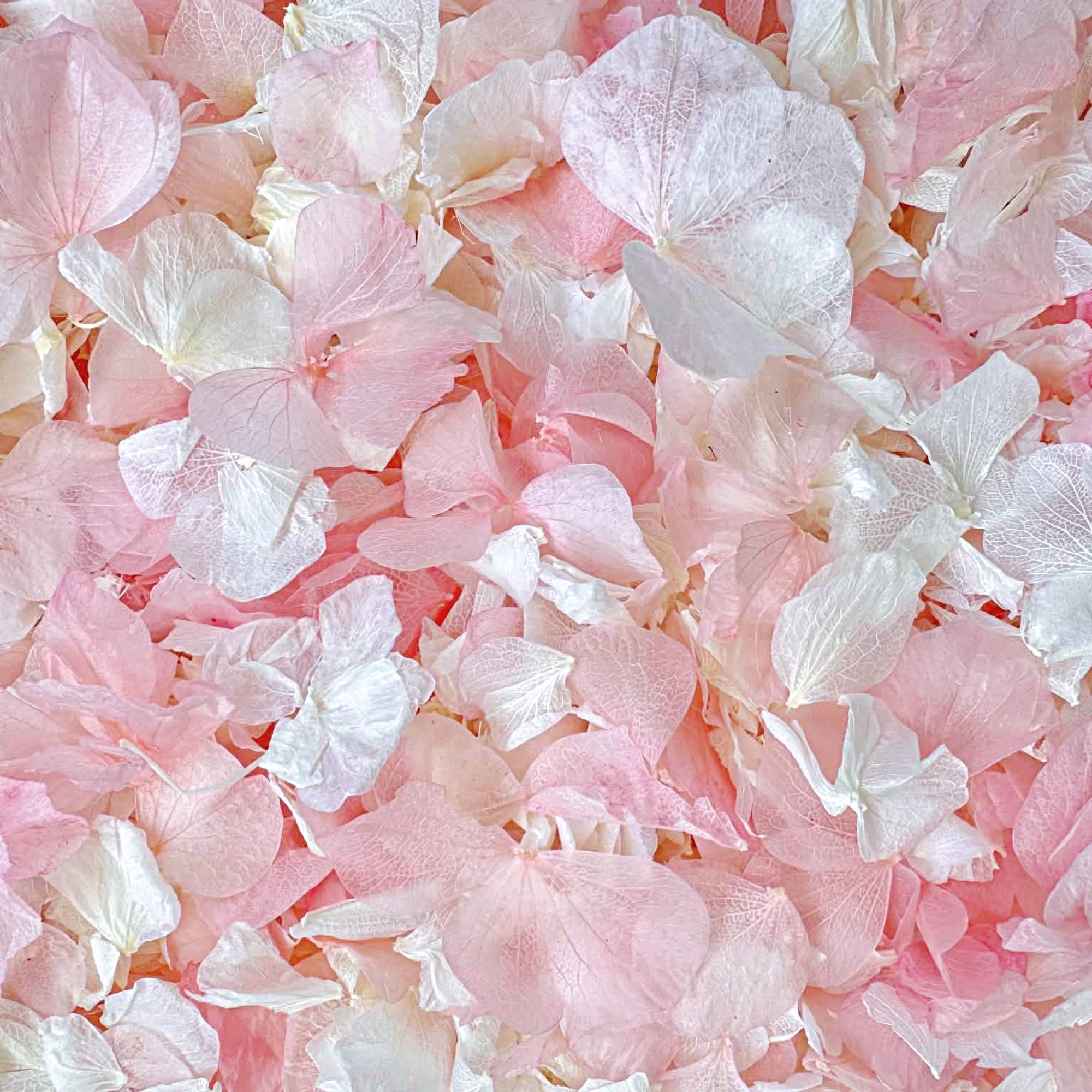 Biodegradable Confetti – Wedding Confetti - Dried Flower Petals - Serendipity - Dried Flower Confetti - The Sprinkle Bar