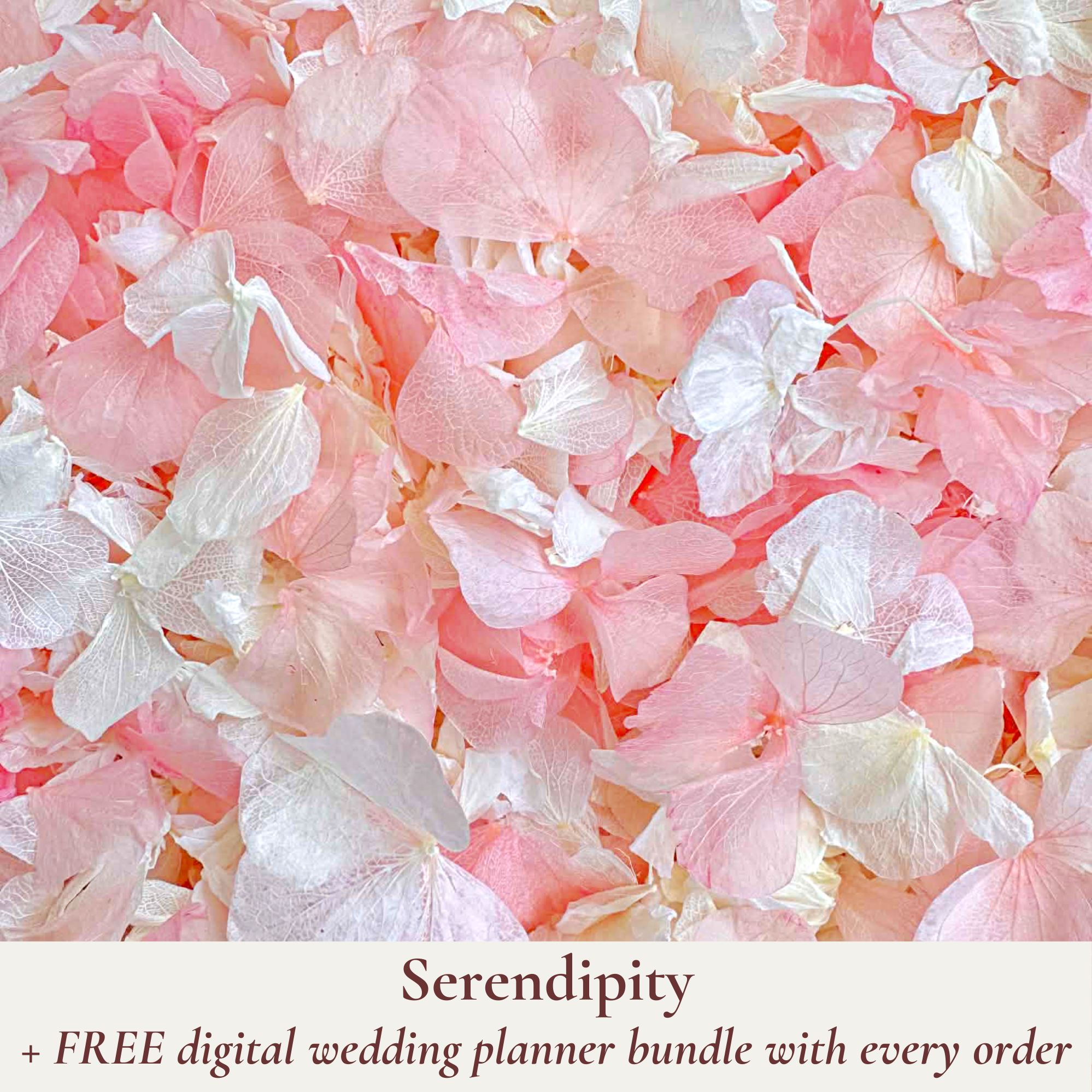 Biodegradable Wedding Confetti – Dried Flower Petal Confetti - Serendipity