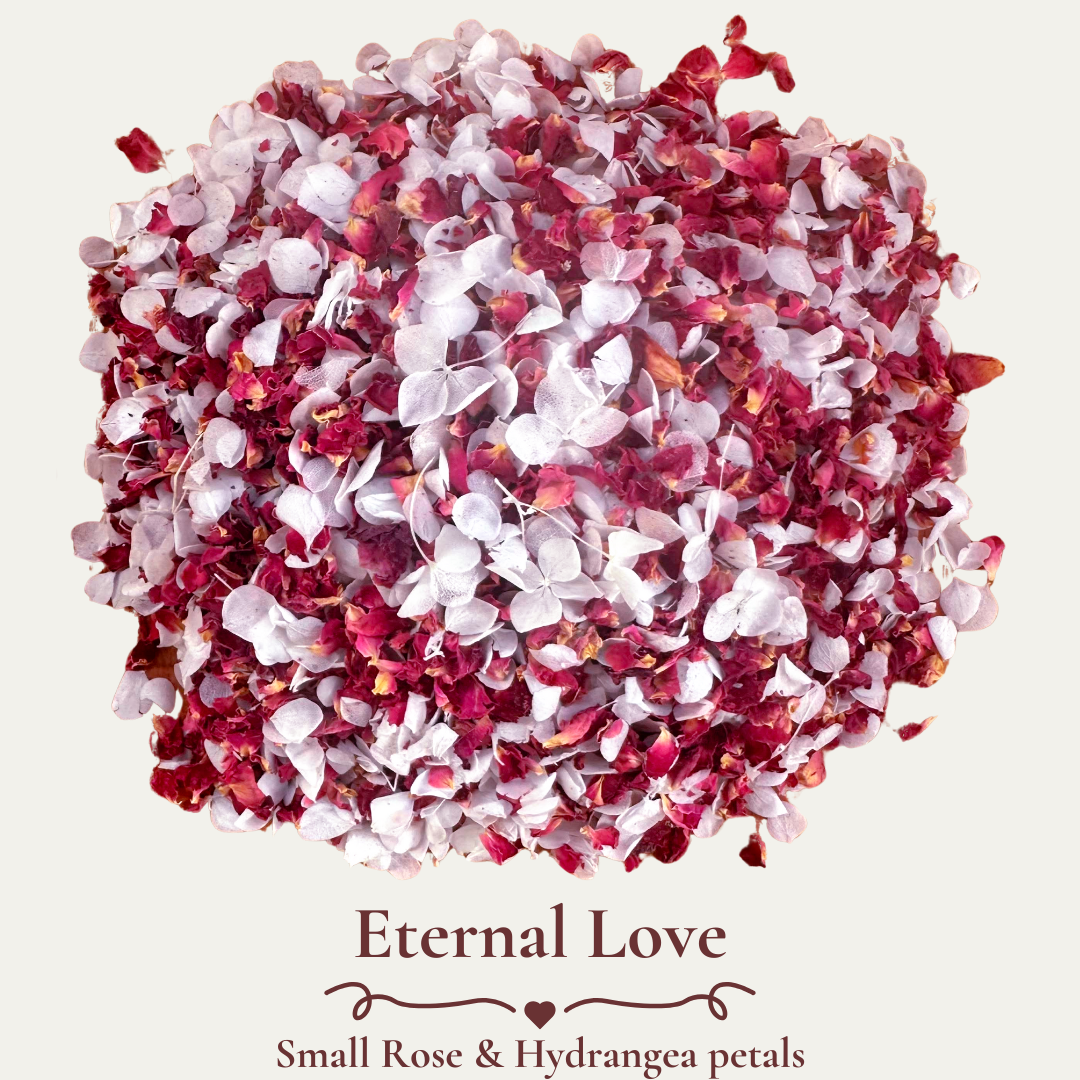 Dried Flowers Wedding Confetti & Biodegradable Bags for Wedding Guests