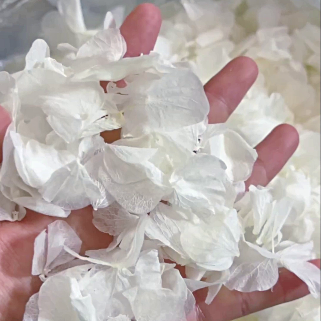 Dried Flowers Wedding Confetti – Pure Elegance - Flower Girl Basket Aisle Petals