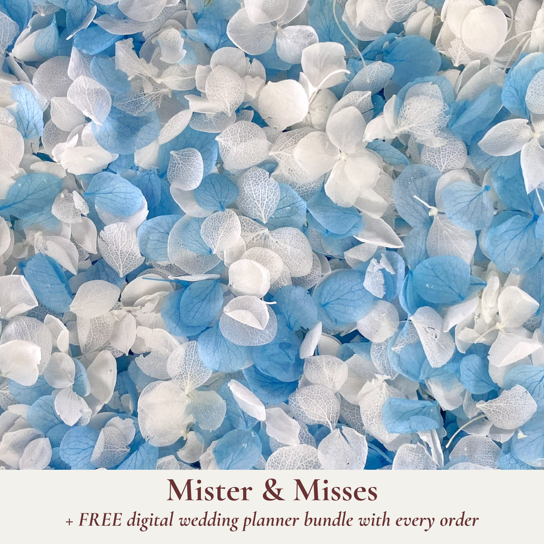 Biodegradable Confetti – Dried Flower Petal Wedding Confetti - Mister and Misses - Dried Flower Confetti - The Sprinkle Bar
