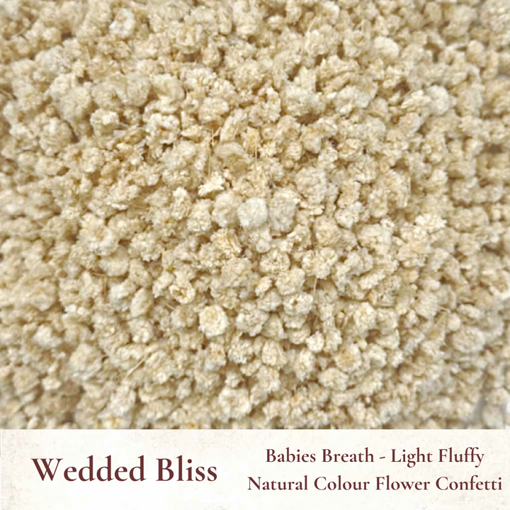 Dried Flowers Wedding Confetti – Wedded Bliss