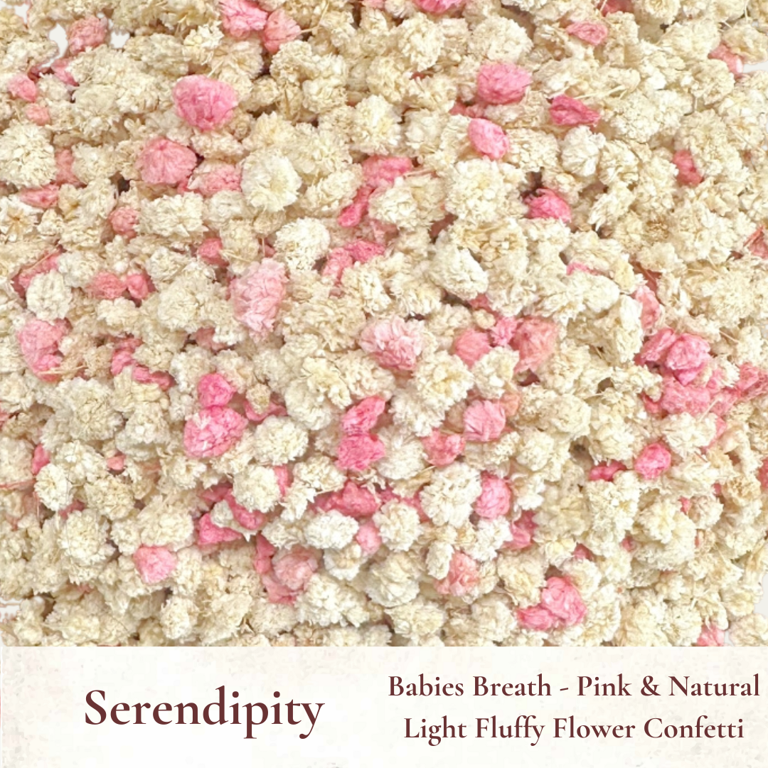 Dried Flowers Wedding Confetti – Serendipity