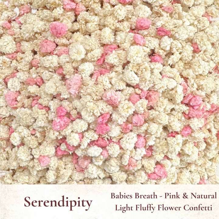 Dried Flowers Wedding Confetti – Serendipity