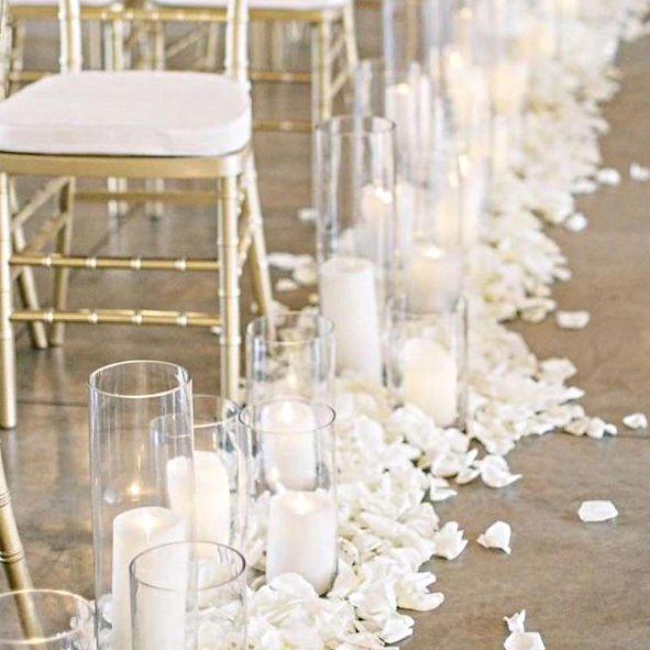 Biodegradable Confetti – Real White Rose Petal Wedding Confetti - Timeless Love - Dried Flower Confetti - The Sprinkle Bar
