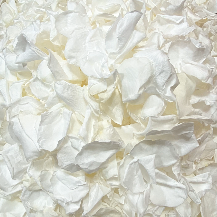 White Rose Petal Wedding Confetti - Silk and Lace - Wedding Aisle Flower Girl Petals