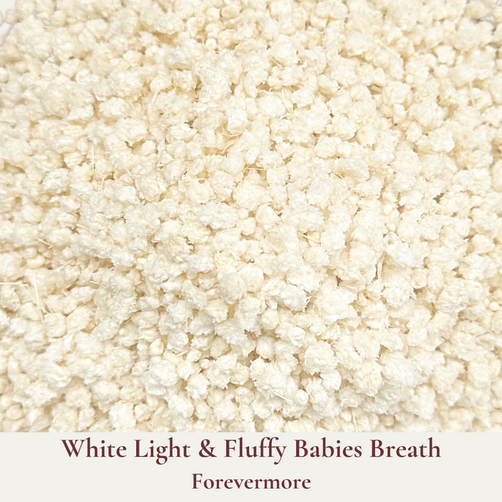 Dried Flowers Wedding Confetti – Forevermore