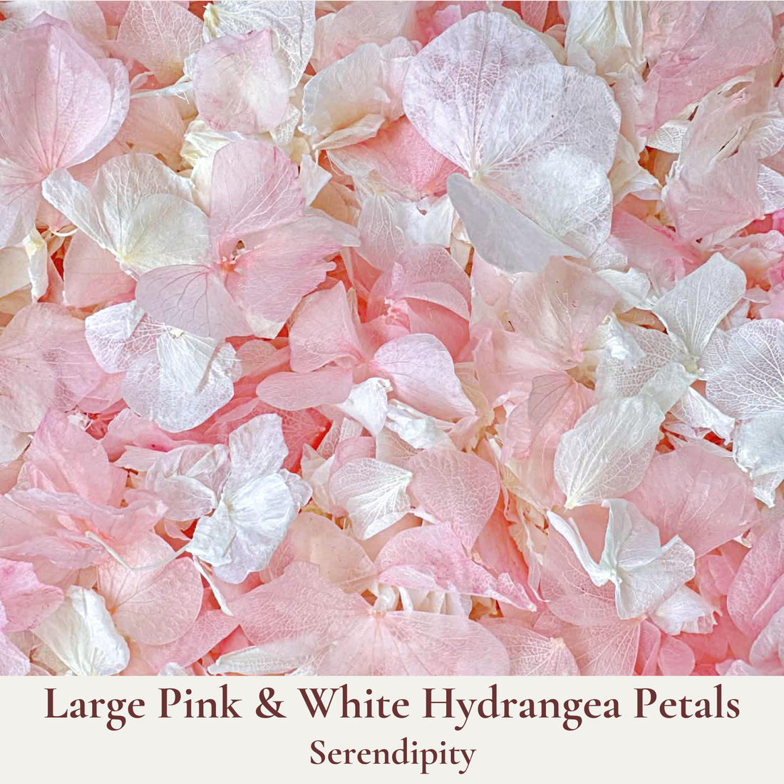 Biodegradable Confetti – Natural Dried Flower Petal Wedding Confetti - Serendipity - Dried Flower Confetti - The Sprinkle Bar