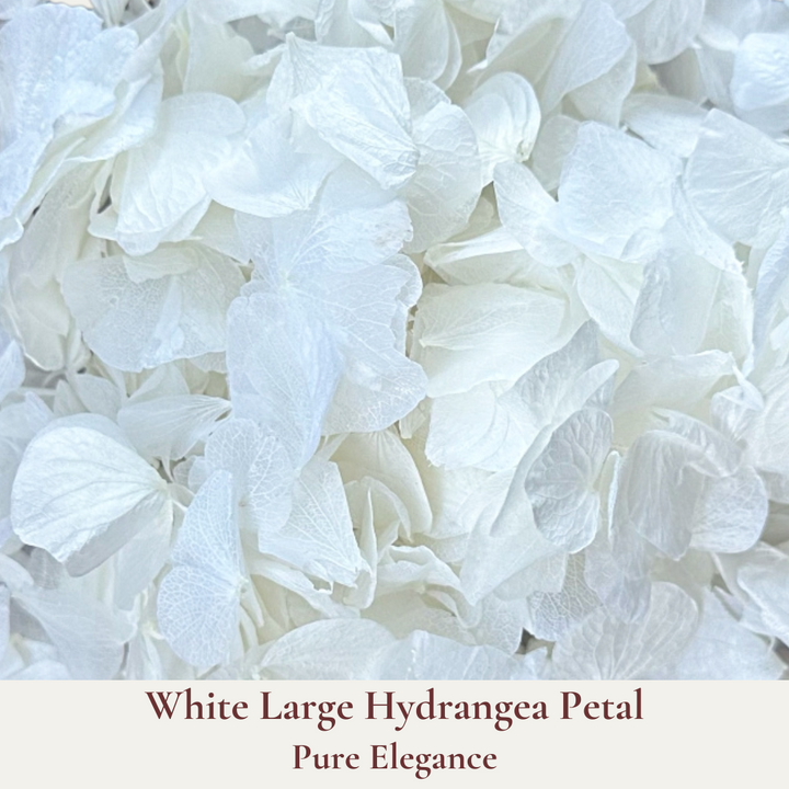 Dried Flowers Wedding Confetti – Pure Elegance - Flower Girl Basket Aisle Petals