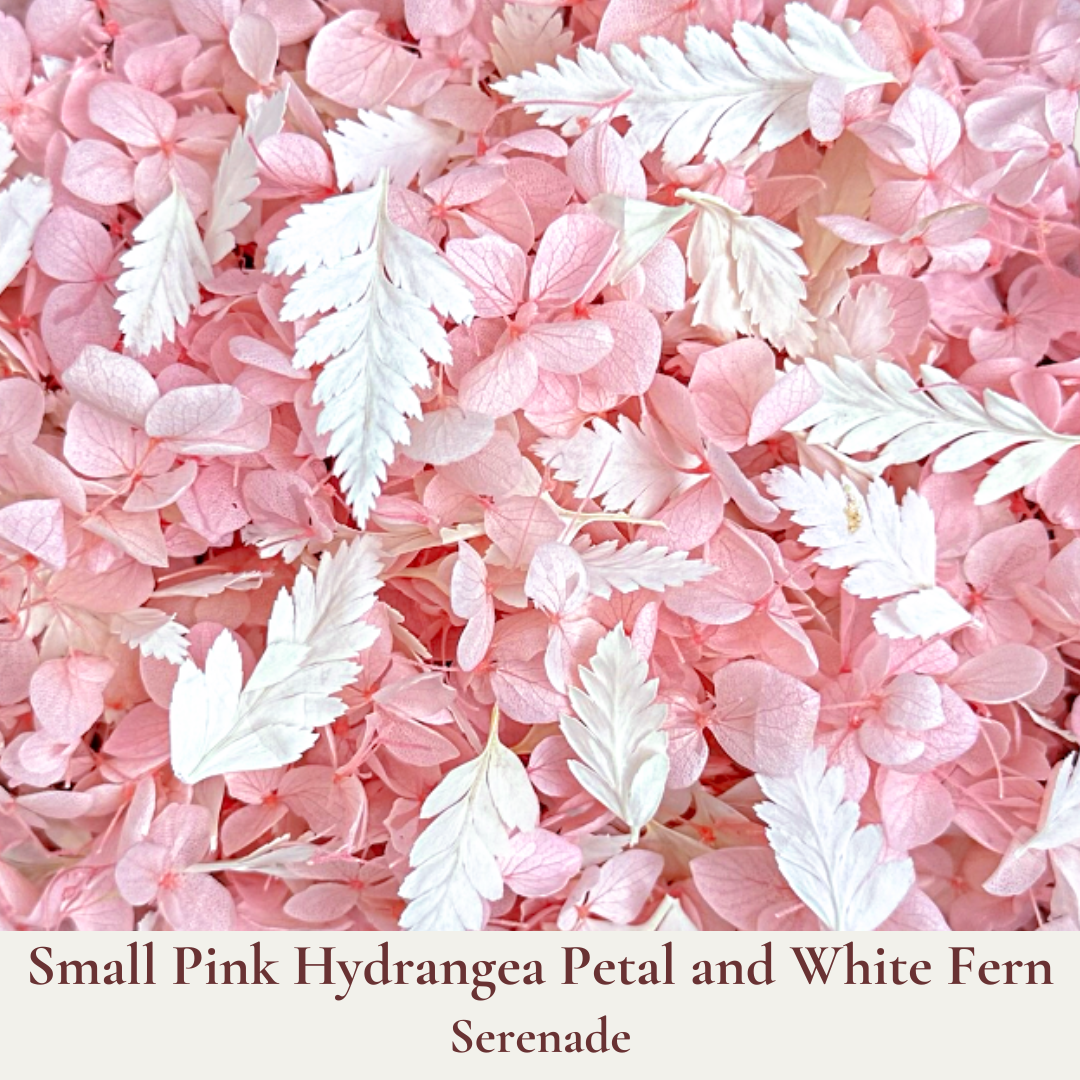 Dried Flowers Wedding Confetti – Serenade