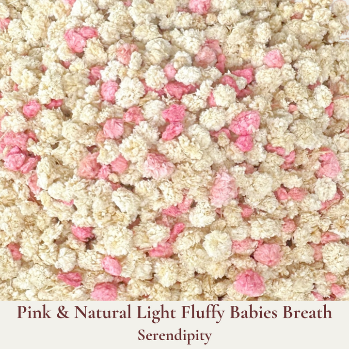 Dried Flowers Wedding Confetti – Serendipity