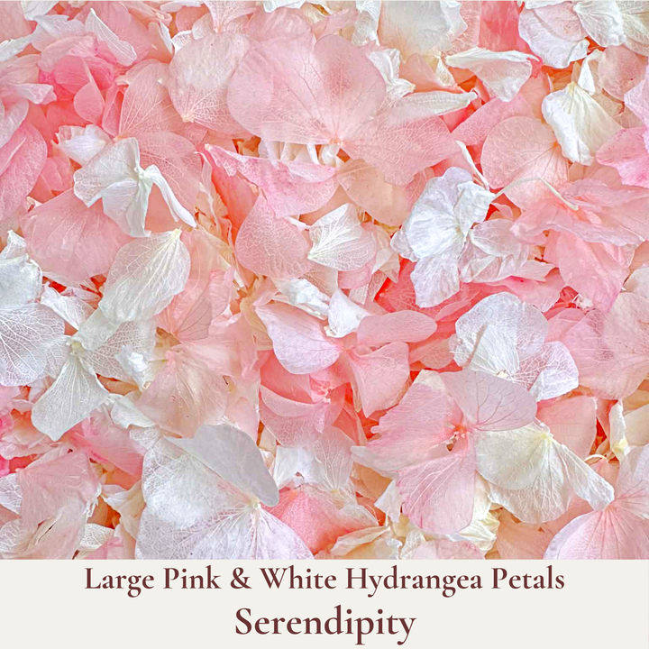 Biodegradable Wedding Confetti – Dried Flower Petal Confetti - Serendipity - Dried Flower Confetti - The Sprinkle Bar