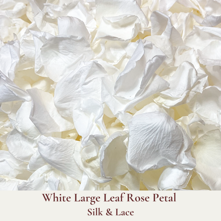 White Rose Petal Wedding Confetti - Silk and Lace - Wedding Aisle Flower Girl Petals