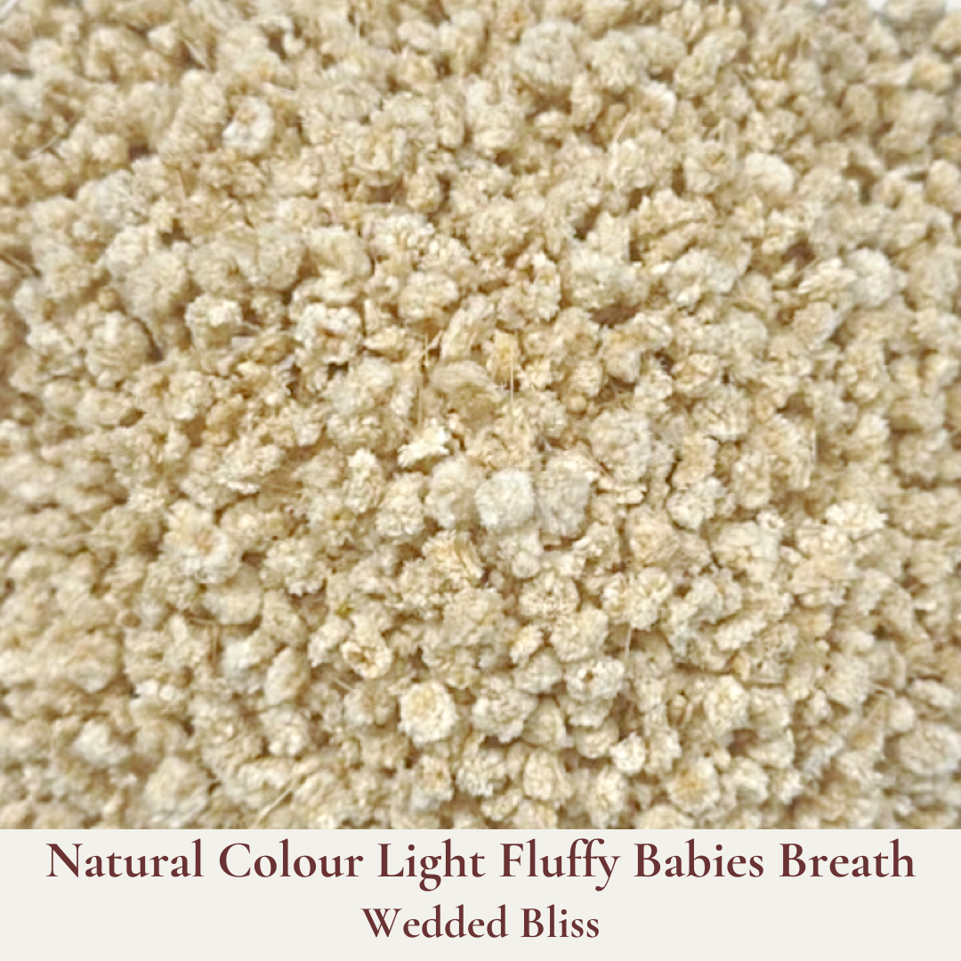 Dried Flowers Wedding Confetti – Wedded Bliss - Wedding Aisle Decoration