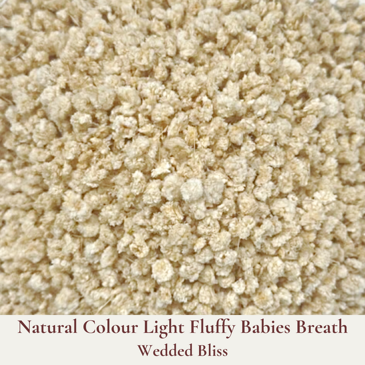 Dried Flowers Wedding Confetti – Wedded Bliss - Wedding Aisle Decoration