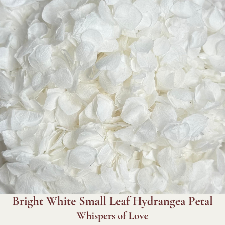 Dried Flowers Wedding Confetti – Whispers of Love