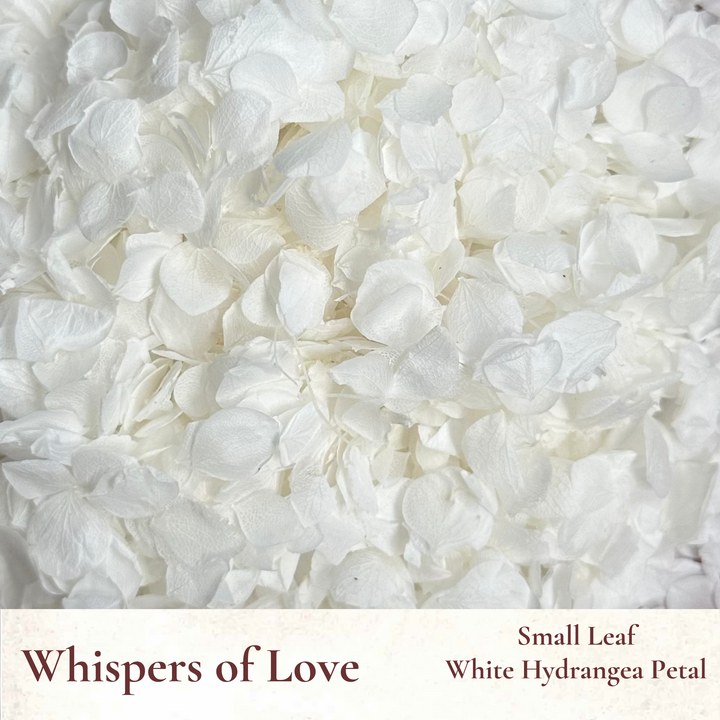 Dried Flowers Wedding Confetti – Whispers of Love
