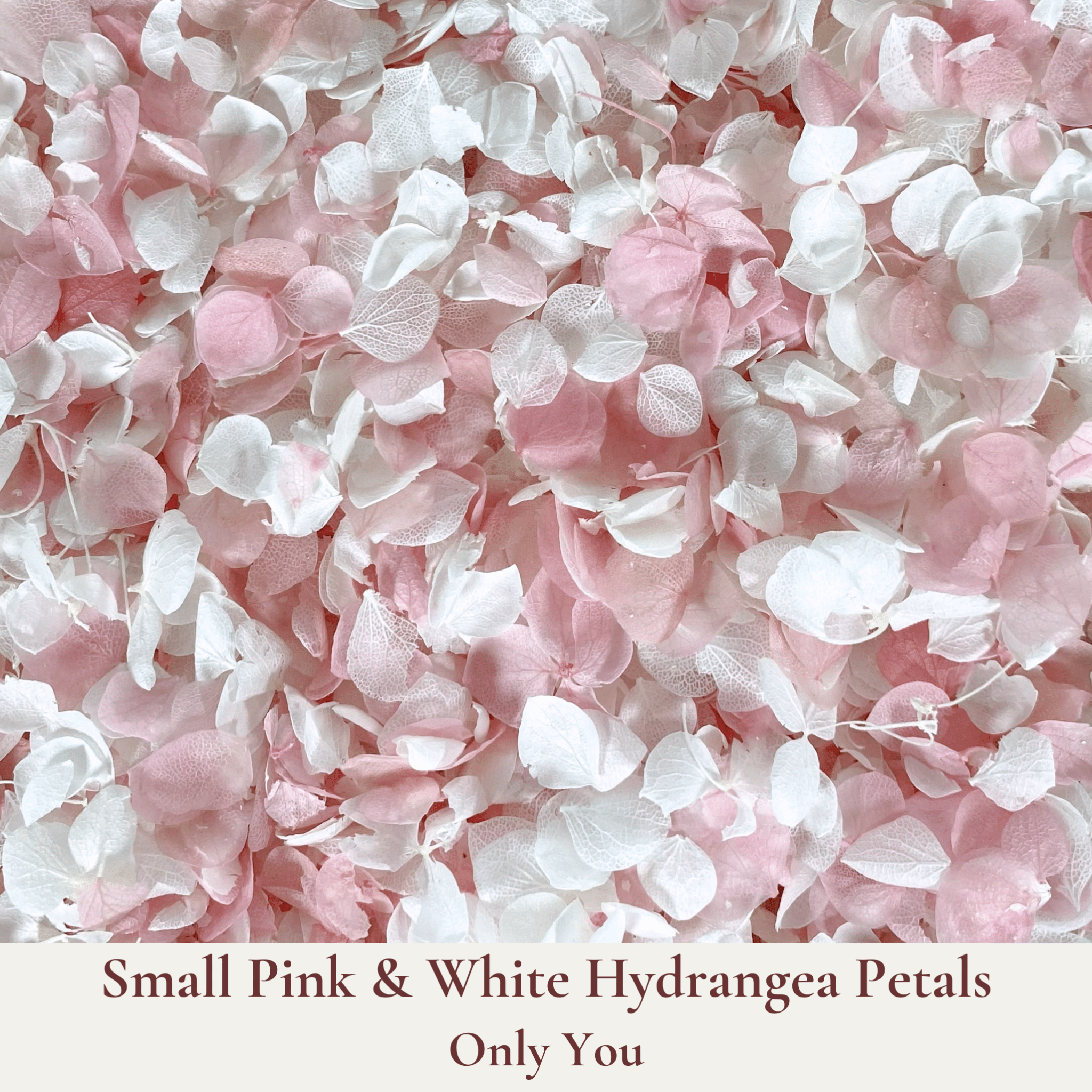 Biodegradable Confetti and Cones Bundle - Dried Flower Wedding Confetti - Dried Flower Confetti + Cones - The Sprinkle Bar