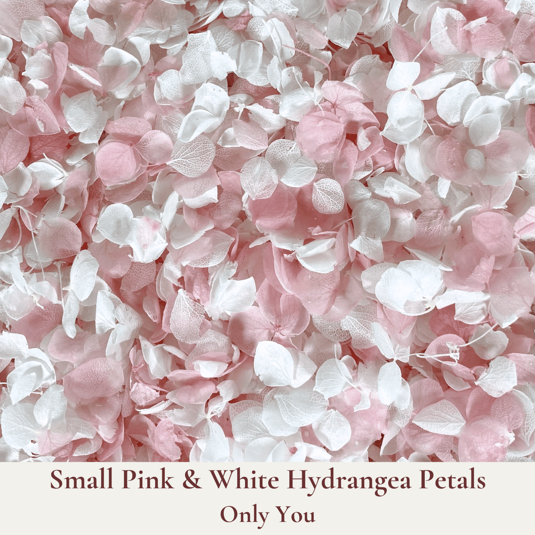 Biodegradable Confetti and Cones Bundle - Dried Flower Wedding Confetti - Dried Flower Confetti + Cones - The Sprinkle Bar