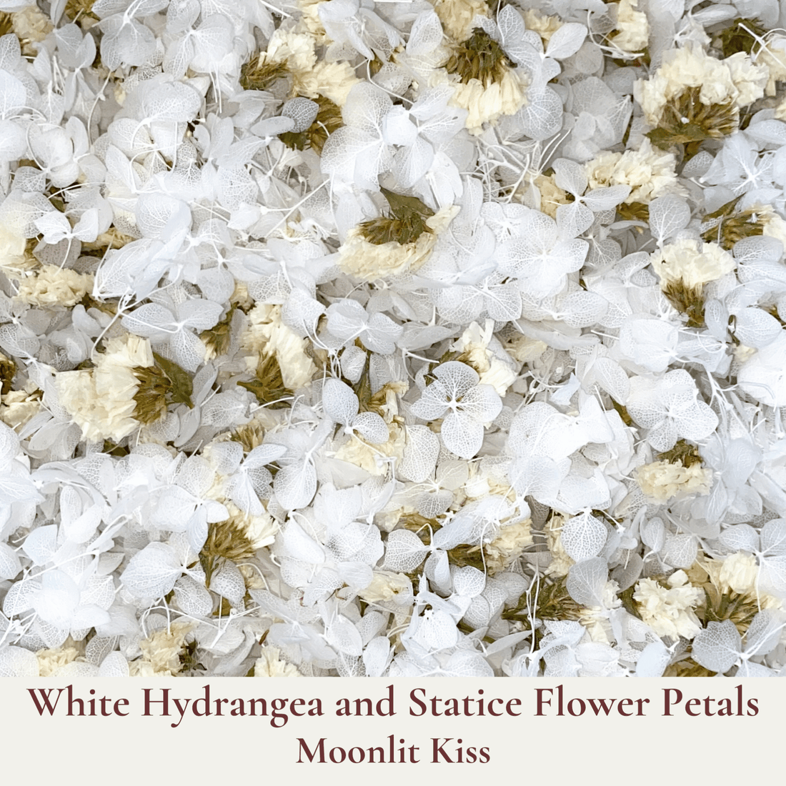 Biodegradable Confetti – Real Dried Flower Petal Wedding Confetti - Moonlit Kiss - Dried Flower Confetti - The Sprinkle Bar