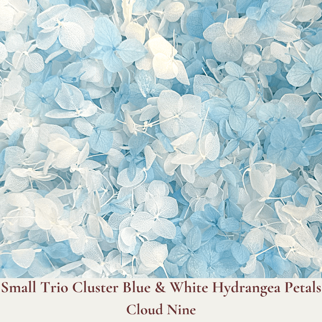 Biodegradable Confetti – Real Dried Flower Petal Wedding Confetti - Cloud Nine - Dried Flower Confetti - The Sprinkle Bar