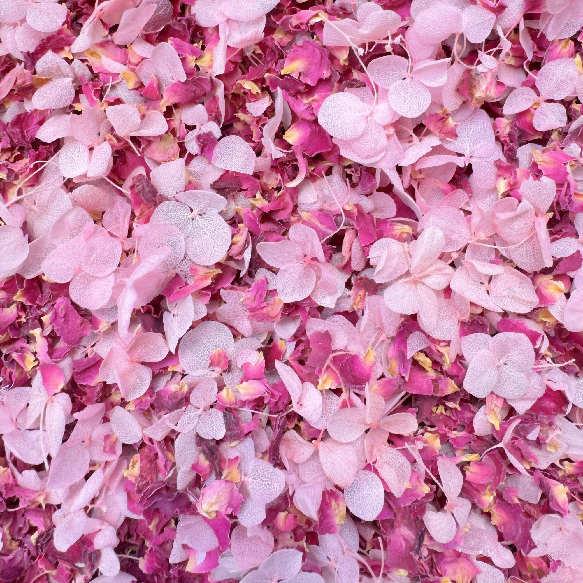 Biodegradable Confetti – Real Dried Flower Petal Wedding Confetti - Endless Love - Dried Flower Confetti - The Sprinkle Bar