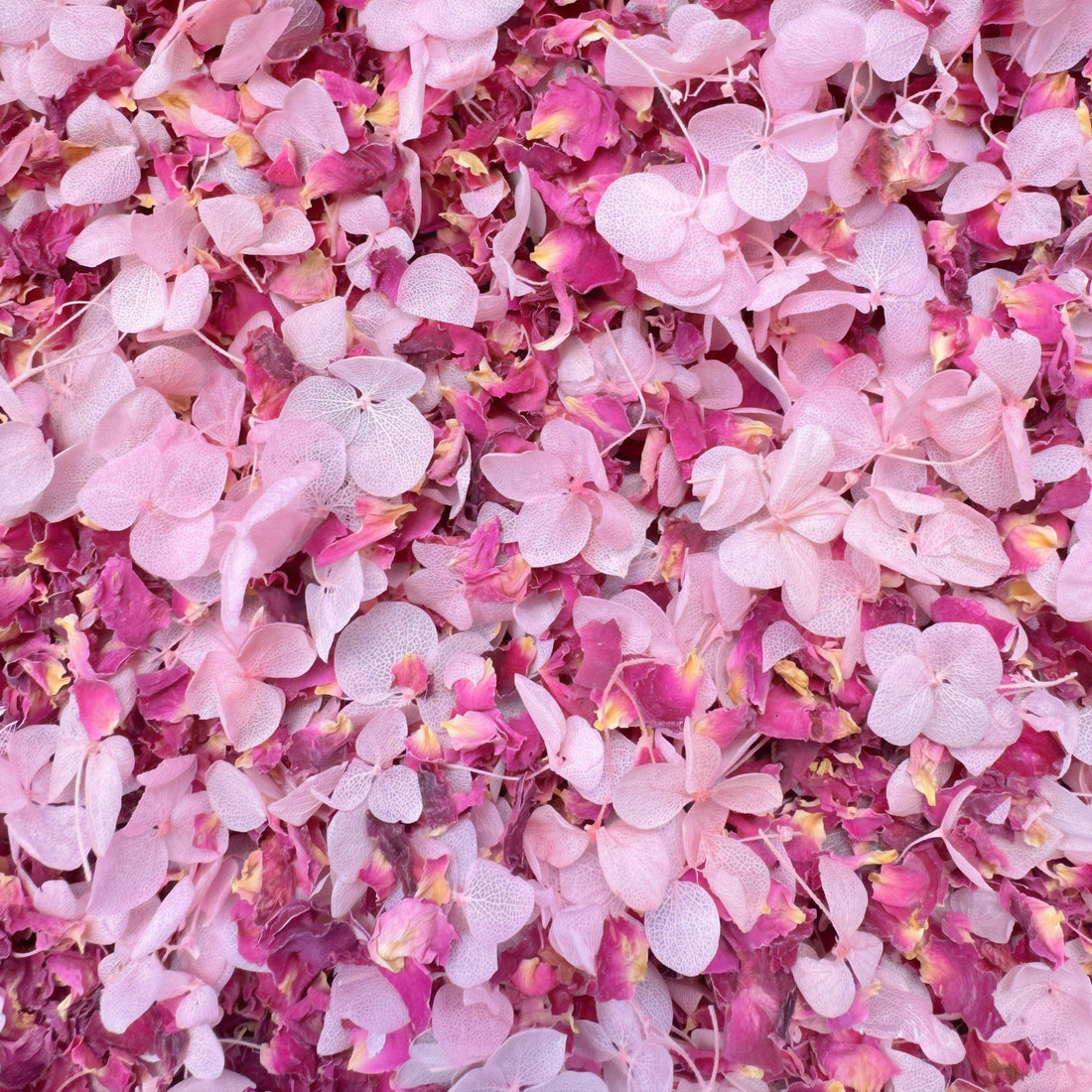 Biodegradable Confetti – Real Dried Flower Petal Wedding Confetti - Endless Love - Dried Flower Confetti - The Sprinkle Bar