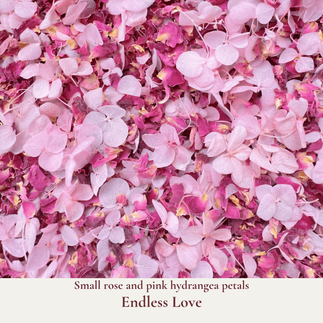 Biodegradable Confetti – Real Dried Flower Petal Wedding Confetti - Endless Love - Dried Flower Confetti - The Sprinkle Bar