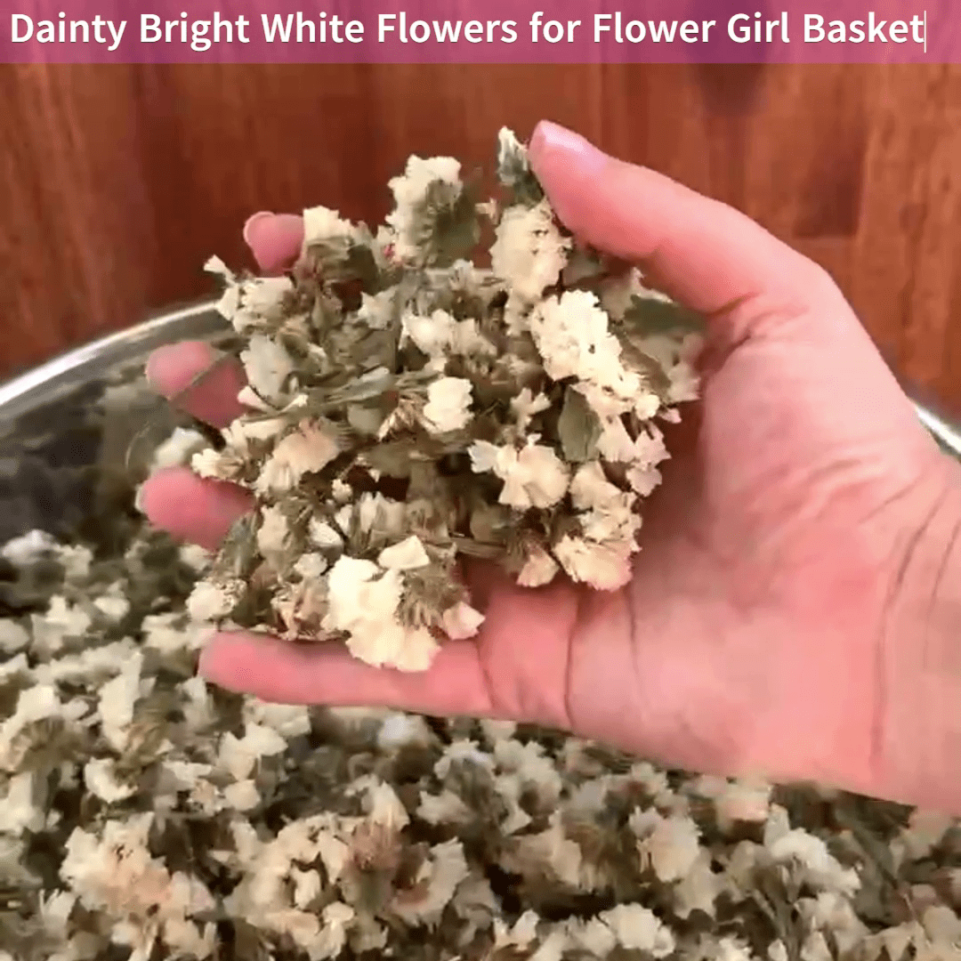 Biodegradable Confetti – Real Dried Flower Petal Wedding Confetti - Flower Girl - Dried Flower Confetti - The Sprinkle Bar