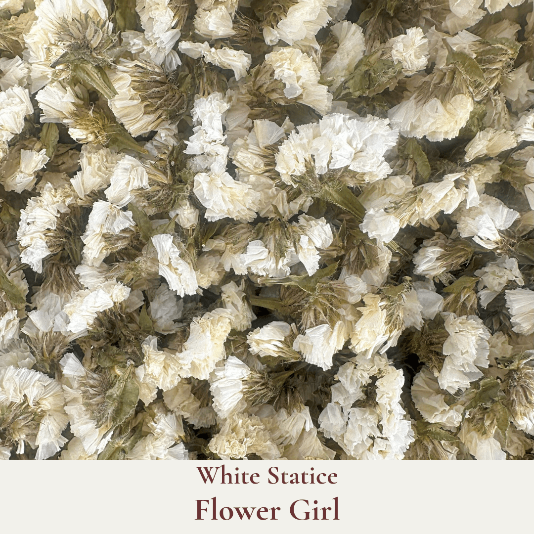 Biodegradable Confetti – Real Dried Flower Petal Wedding Confetti - Flower Girl - Dried Flower Confetti - The Sprinkle Bar