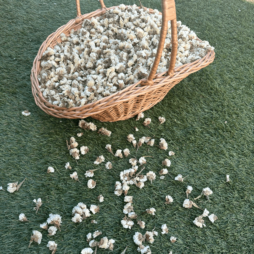 Biodegradable Confetti – Real Dried Flower Petal Wedding Confetti - Flower Girl - Dried Flower Confetti - The Sprinkle Bar