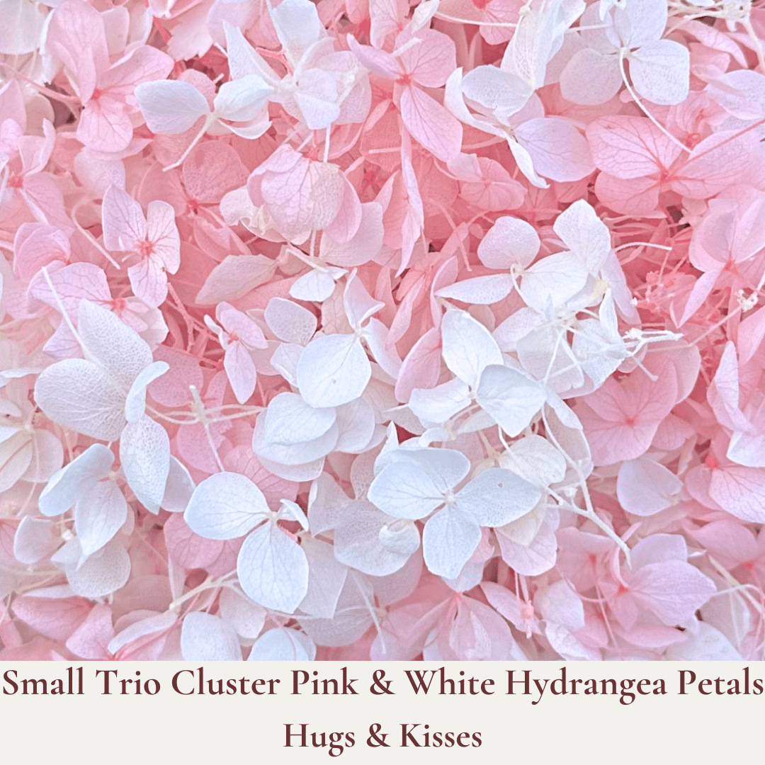 Biodegradable Confetti – Real Dried Flower Petal Wedding Confetti - Hugs & Kisses - Dried Flower Confetti - The Sprinkle Bar