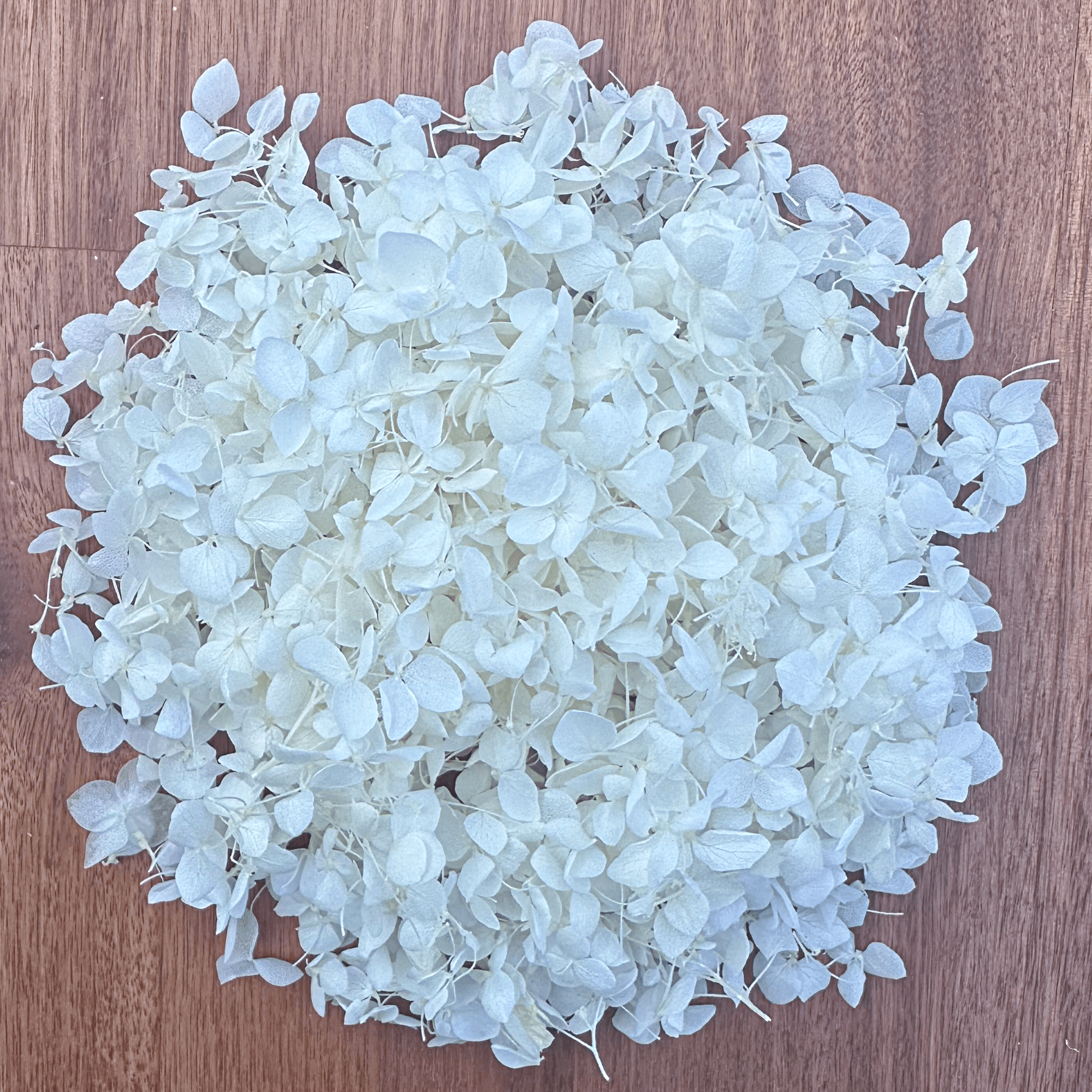Biodegradable Confetti – Real Dried Flower Petal Wedding Confetti - Moonlit Dance - Dried Flower Confetti - The Sprinkle Bar
