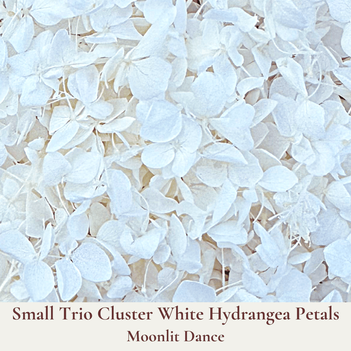 Biodegradable Confetti – Real Dried Flower Petal Wedding Confetti - Moonlit Dance