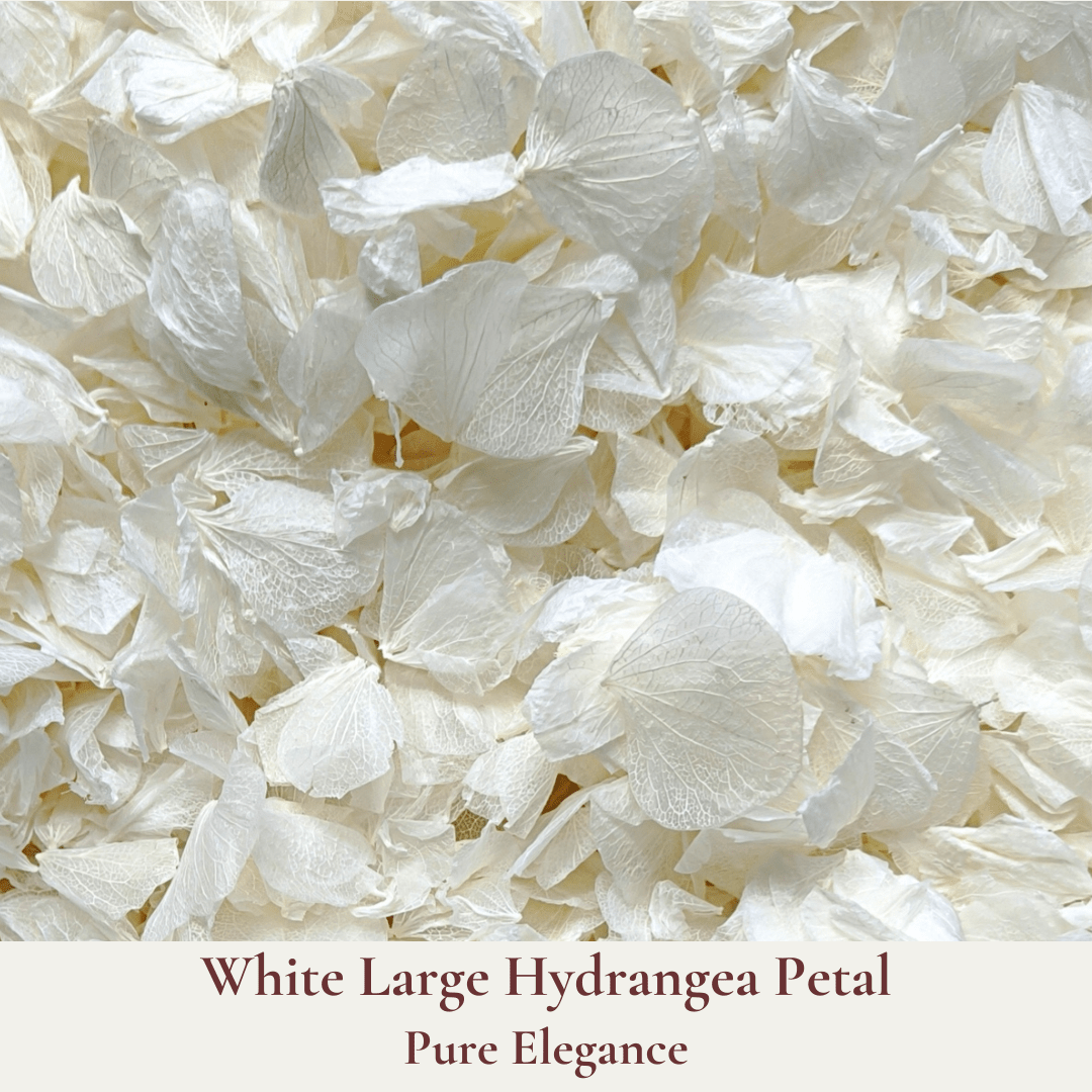 Biodegradable Confetti – Real Dried Flower Petal Wedding Confetti – Pure Elegance - Dried Flower Confetti - The Sprinkle Bar