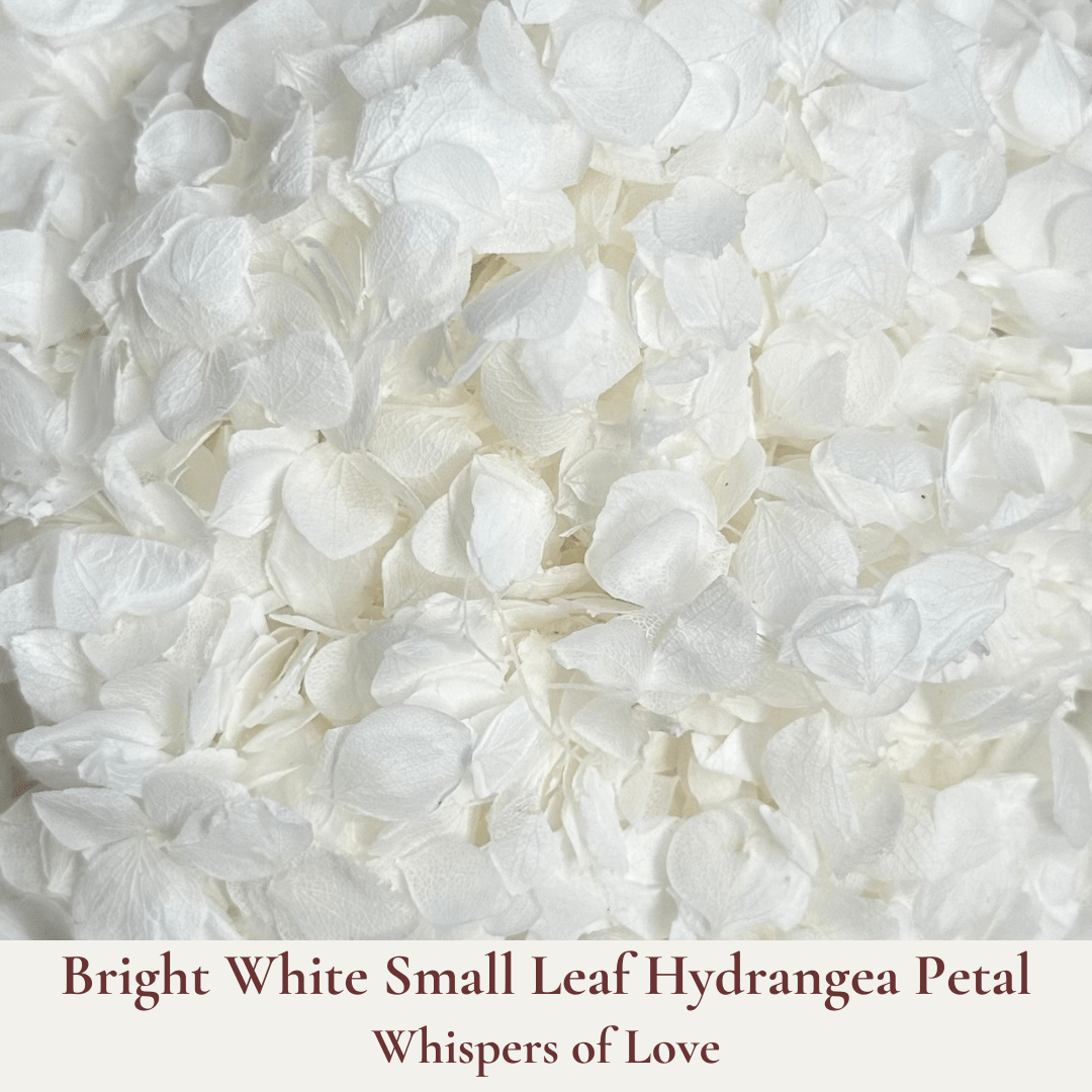 Biodegradable Confetti – Real Flower Petal Wedding Confetti - Whispers of Love - Dried Flower Confetti - The Sprinkle Bar