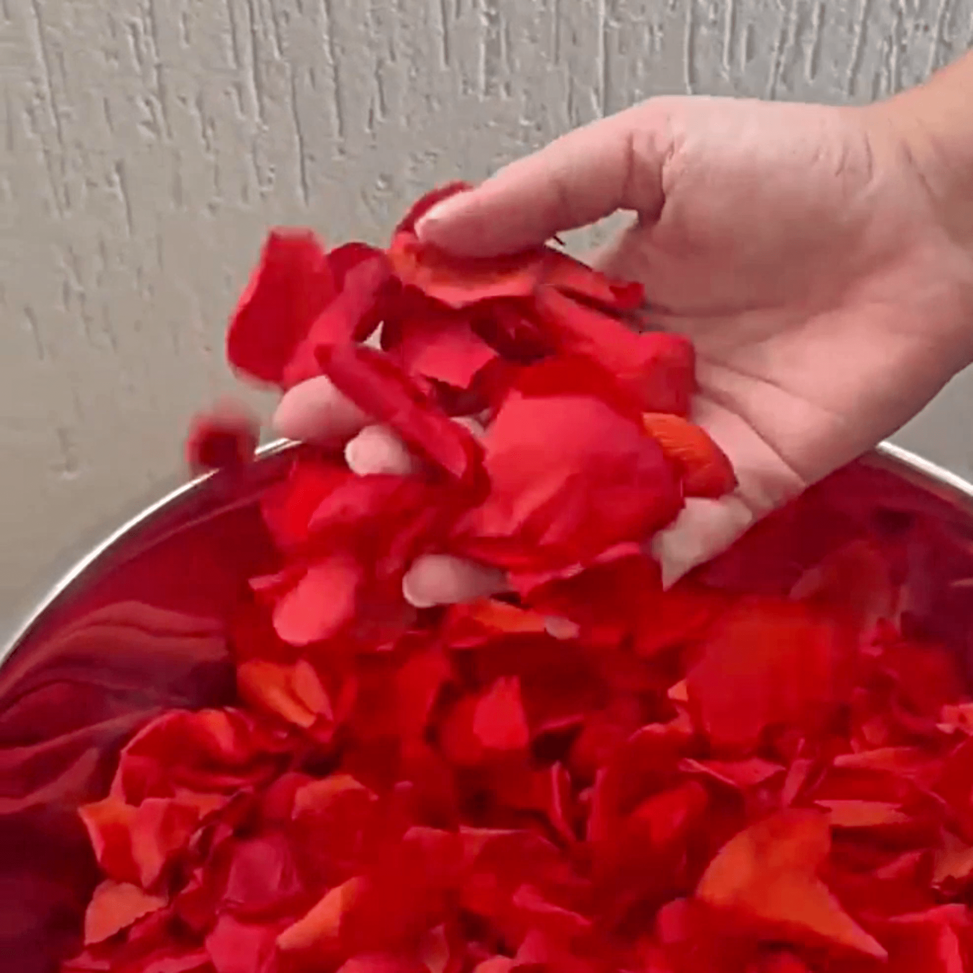 Biodegradable Confetti – Real Rose Petal Wedding Confetti - Loves Desire - Dried Flower Confetti - The Sprinkle Bar
