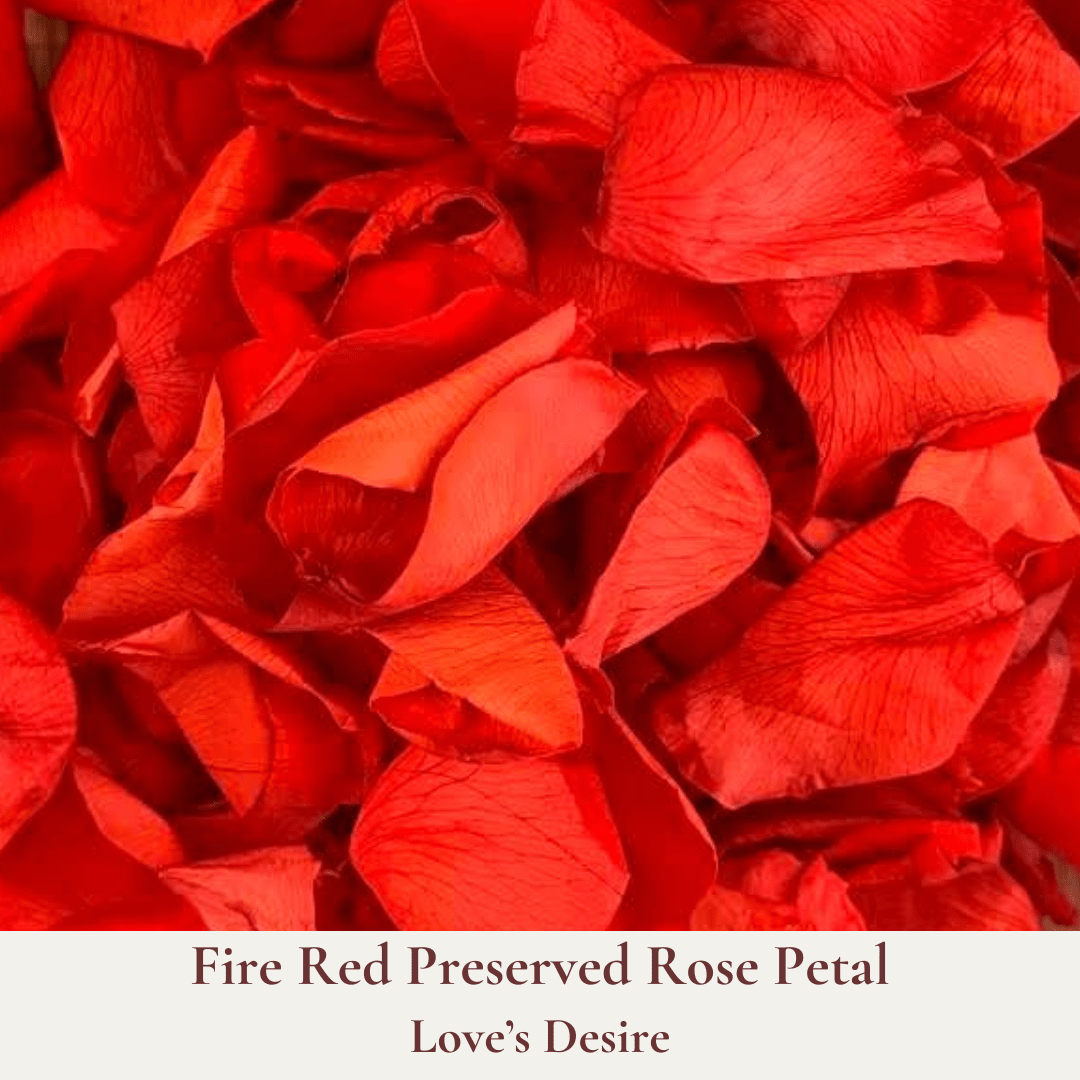 Biodegradable Confetti – Real Rose Petal Wedding Confetti - Loves Desire - Dried Flower Confetti - The Sprinkle Bar