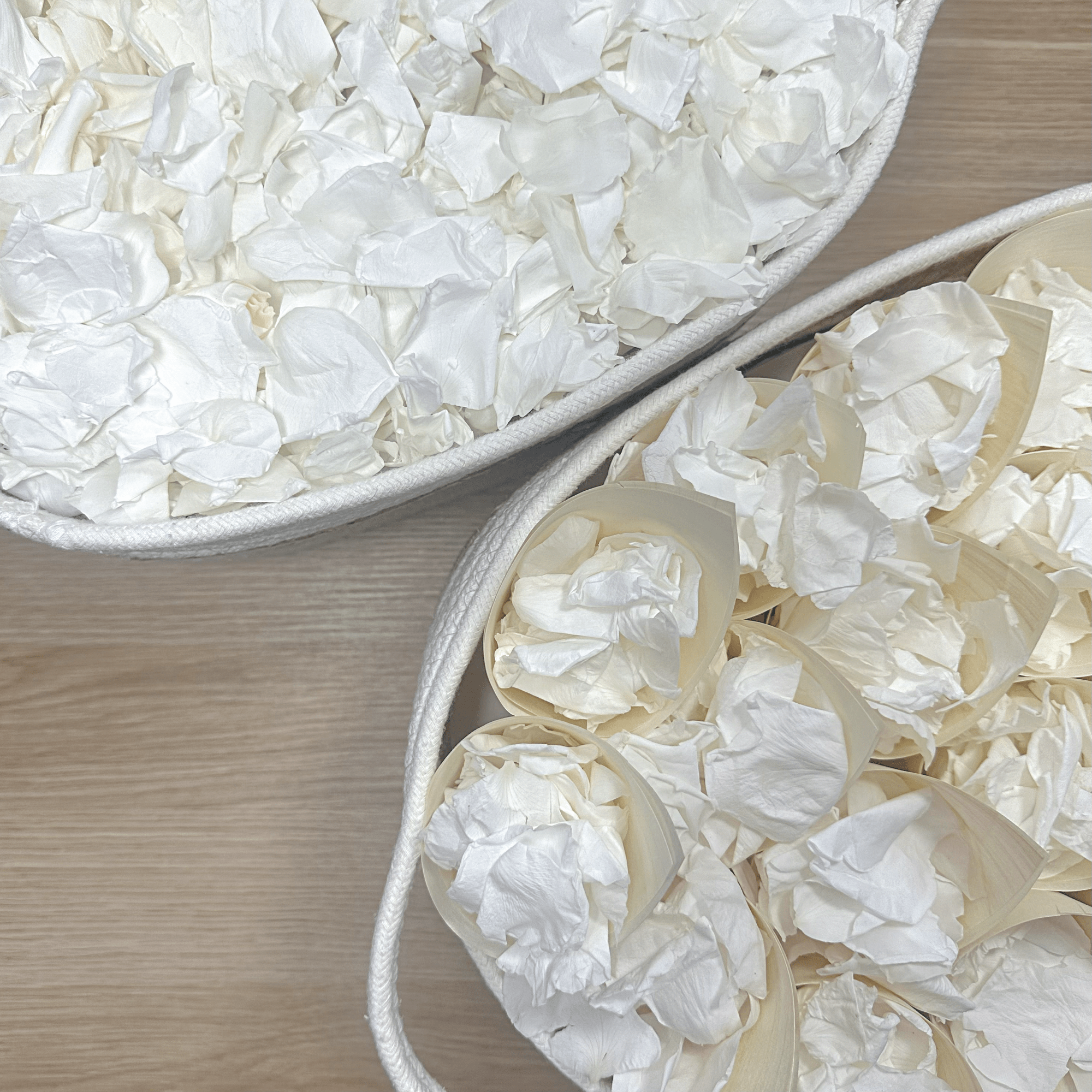 Biodegradable Confetti – Real White Rose Petal Wedding Confetti - Timeless Love - Dried Flower Confetti - The Sprinkle Bar