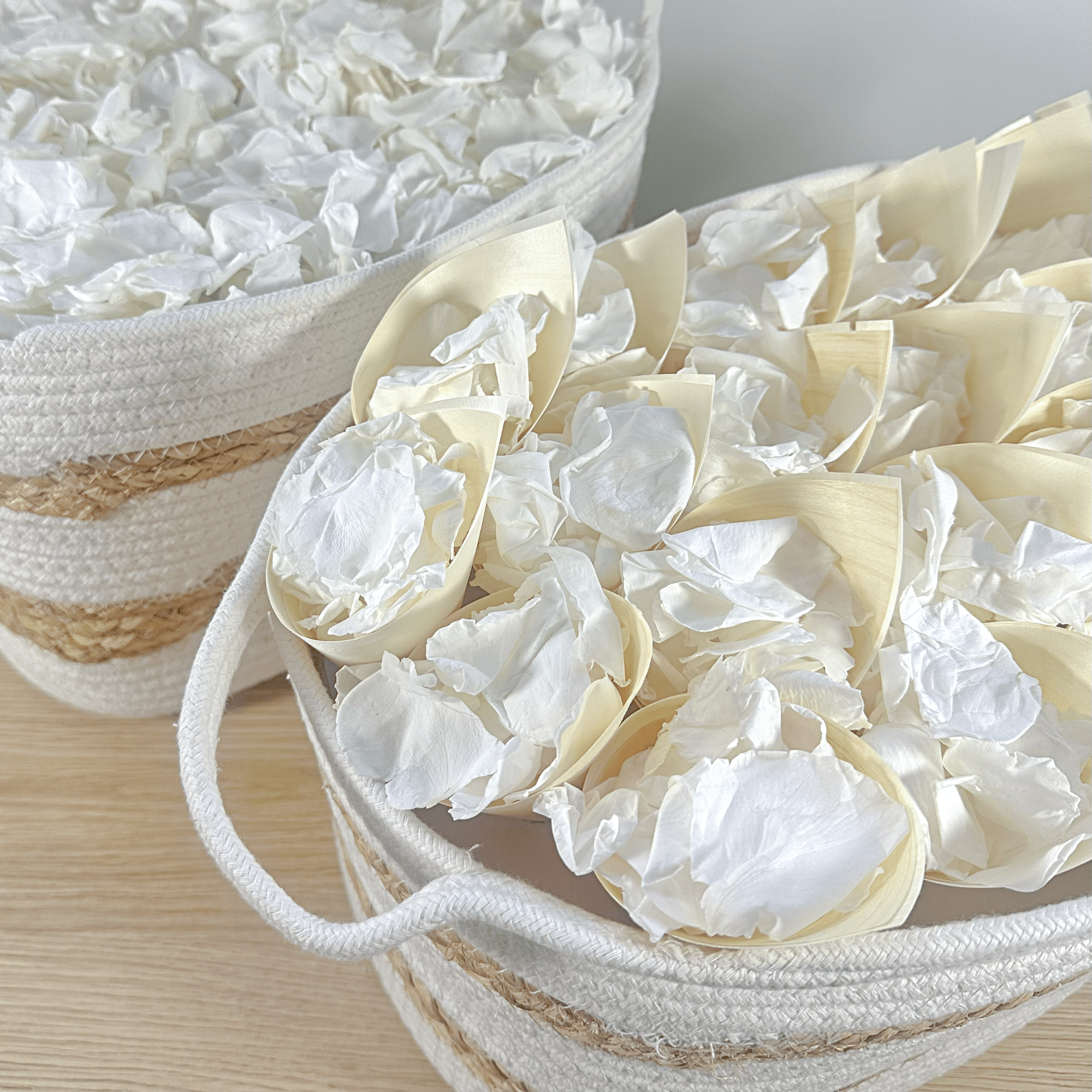 Biodegradable Confetti – Real White Rose Petal Wedding Confetti - Timeless Love - Dried Flower Confetti - The Sprinkle Bar
