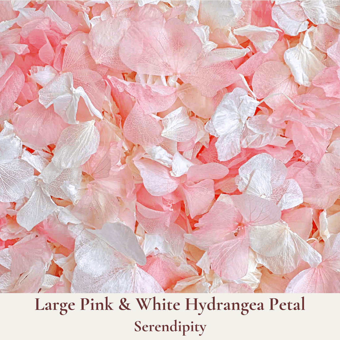 Biodegradable Wedding Confetti and Bags Bundle with Two Label Options - Dried Flower Confetti + Bags - The Sprinkle Bar
